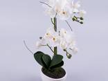 Орхидея латексная в кашпо двойная белая Цветы искусственные - фото 1