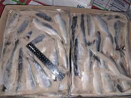 Оселедець матіас с/м б/г 5-7 ( 2*8 кг) , Норвегія