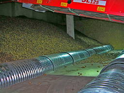 Овощехранилище для хранения картофеля навалом