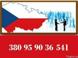 Пакет документов для Чешской рабочей визы 90/90