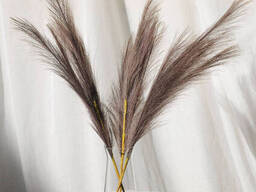 Пампас искусственный 75см 5шт/уп. Цвет: какао