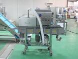 Панірувальна машина для нанесення паніровки STvega Breading Crumbs H100 - фото 2