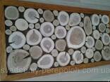 Панно из срезов дерева, стиль лофт loft - фото 2
