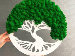Панно, картина, дерево со стабилизированым мхом А класу MiNature Moss 50 см