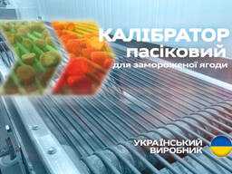 Пасиковый ременной калибратор вибросито для замороженных ягод