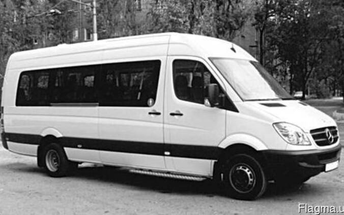 Пассажирские перевозки микроавтобус, автобус.