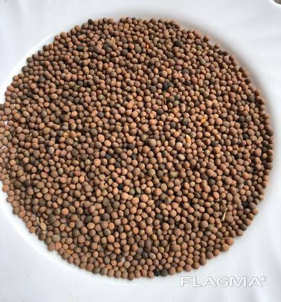 Пелюшка, вика, льон, просо, гірчиця, розторопша, коріандр