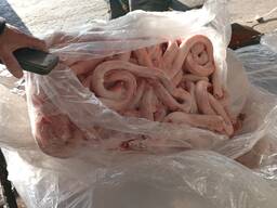 Пеніси бичі