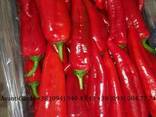 Перец оптом (Турция) - фото 2