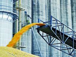 Перевалка зерновых, брокерские услуги, стафировка, фасовка