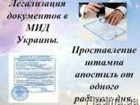Переводы справки о несудимости, загранпаспорта. Апостиль/ - фото 1