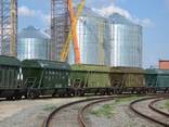 Перевозка зерна железнодорожным транспортом