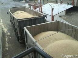 Перевозка зерновых