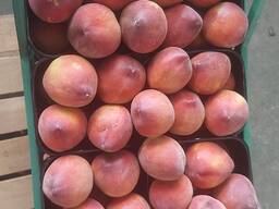 Персик урожай 2003 года