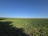 Перспективна земельна ділянка 2,58 Га неподалік ТРЦ Подоляни - фото 6