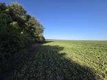 Перспективна земельна ділянка 2,58 Га неподалік ТРЦ Подоляни - фото 7