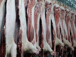Підприємство на постійній основі реалізовує свинину в напівтушах та субпродукти свинні, Хм