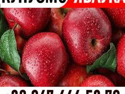 Підприємство у м. Бар закуповує яблука для виробництва натурального соку. НОВИЙ СЕЗОН 2025