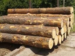 Пиловочник