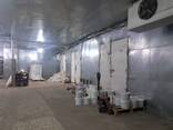 Пищевое производство/Холодильные камеры - фото 1