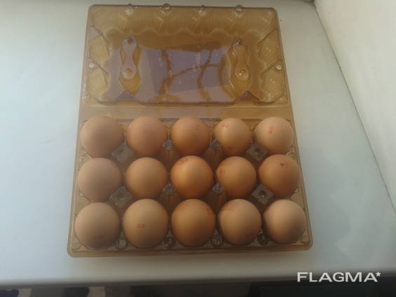Пластиковые лотки для яиц