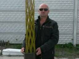 Плетеное дерево из лозы