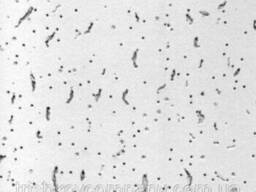 Плита Laguna (600*600*7 мм. )