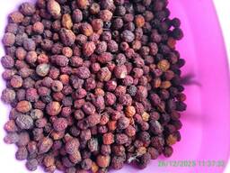 Плоды боярышника продам дешево, оптом