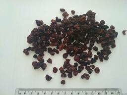 Плоды клюквы