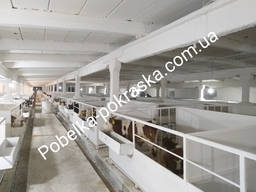 Побелка Горячей Известью Зернохранилищ, Животноводческих Ферм. вся Украина