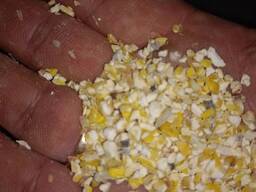 Побічні продукти та відходи з кукурудзи на продаж