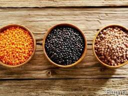 Подаем нут, чечевицу, горох, рожь