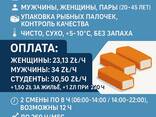 Подберу бесплатные вакансии в ЕС - фото 8