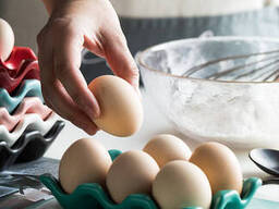 Подставка для яиц на 6 ячеек Пасха 6748 3.2х9.5х14.5 см зеленая