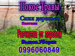 Покос травы , Спил деревьев , физ работы