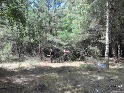 Покос травы, уборка участка от деревьев