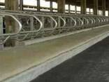 Покрытия для ферм, резиновые коврики, маты для коров Бровары