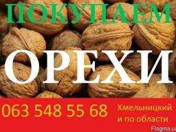 Чищеный грецкий орех(кругляк, бабочки, половинки)