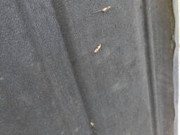 Полка багажника Шопа Октавия тур полка лифтбек