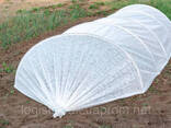 Полотно парниковое 10м|42г/м² - фото 2