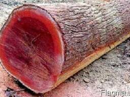 Массарандуба