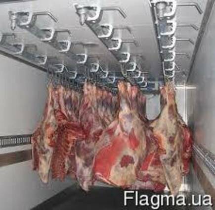 Полутуши, "компенсированные" четверти КРС
