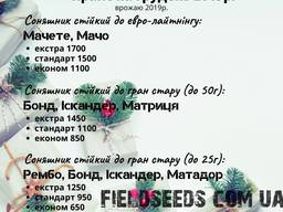 Посевные семена гибриды подсолнечника под евролайтинг и гран