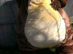 Пошив ростовых кукол на заказ по вашему эскизу