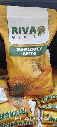 Посівний матеріал соняшника Гранстар Евролайтінг Класичний