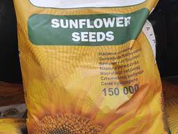 Посівний матеріал соняшника Гранстар Евролайтінг Класичний