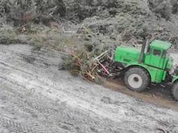 Послуги розліснення полів, корчування пнів, дерев, кущів