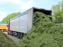 Послуги грузоперевезень