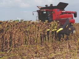 Послуги комбайну | Оренда комбайна з жаткою - Обмолот кукурудзи