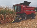 Послуги комбайну | Оренда комбайна з жаткою - Обмолот кукурудзи - фото 3